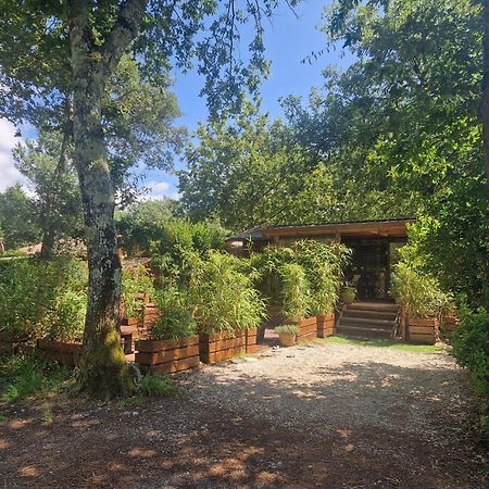 Chalet 2020 Camping 4 Etoiles Bassin D'Arcachon La Teste Luaran gambar